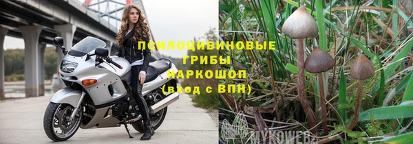герыч Арсеньев